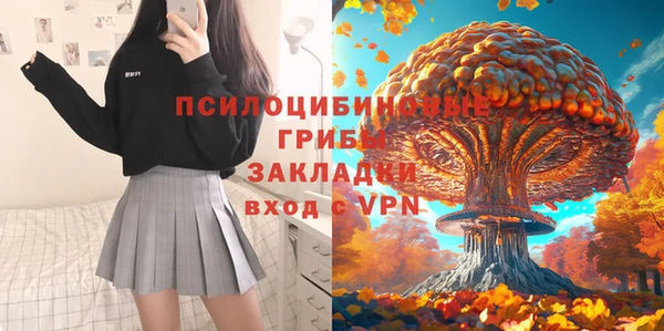 герыч Алексин